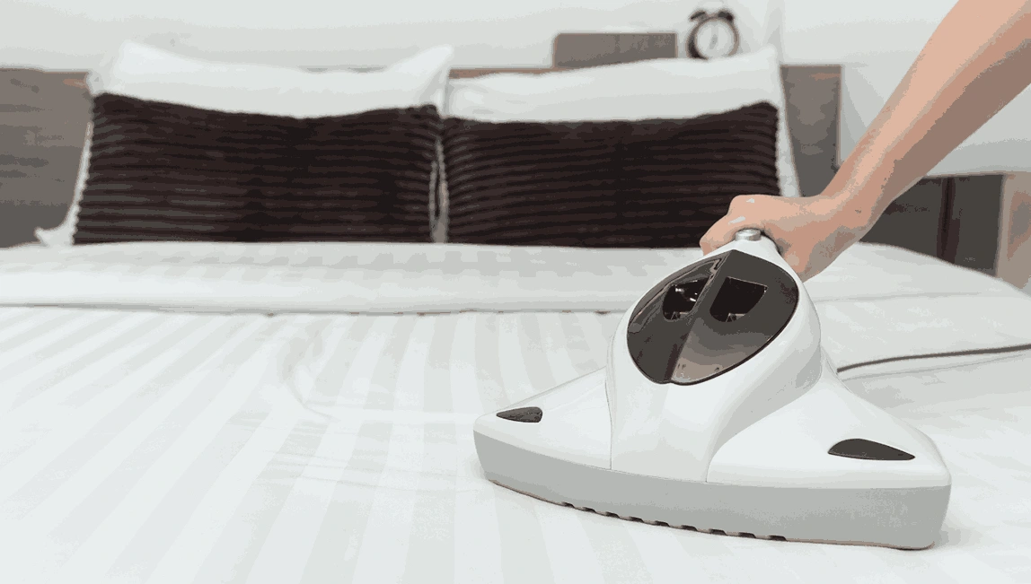 Professional Mattress Cleaning Briar Hill